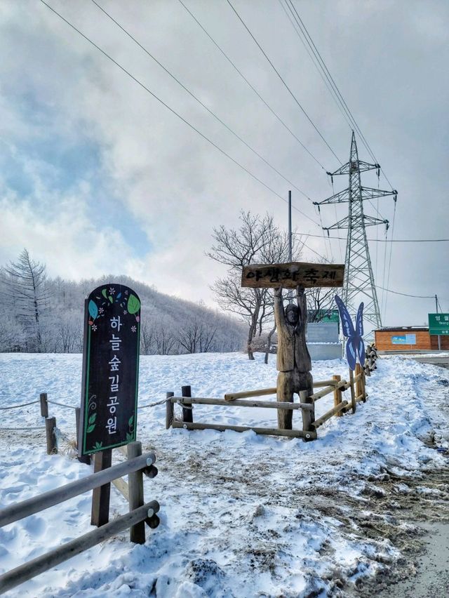 차타고 해발1330m 만항재를 즐기는 눈꽃여행❄️🤍