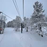 Niseko - The snowiest place on Earth!