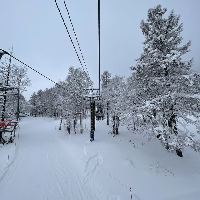 Niseko - The snowiest place on Earth!