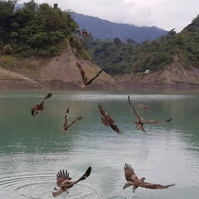 嘉義大埔曾文水庫景點-飛鷹峽谷
