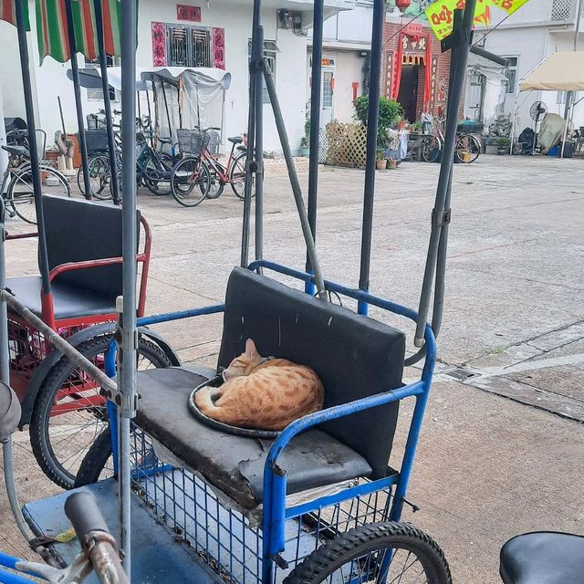 梅窩輕鬆逛逛食嘢一日遊