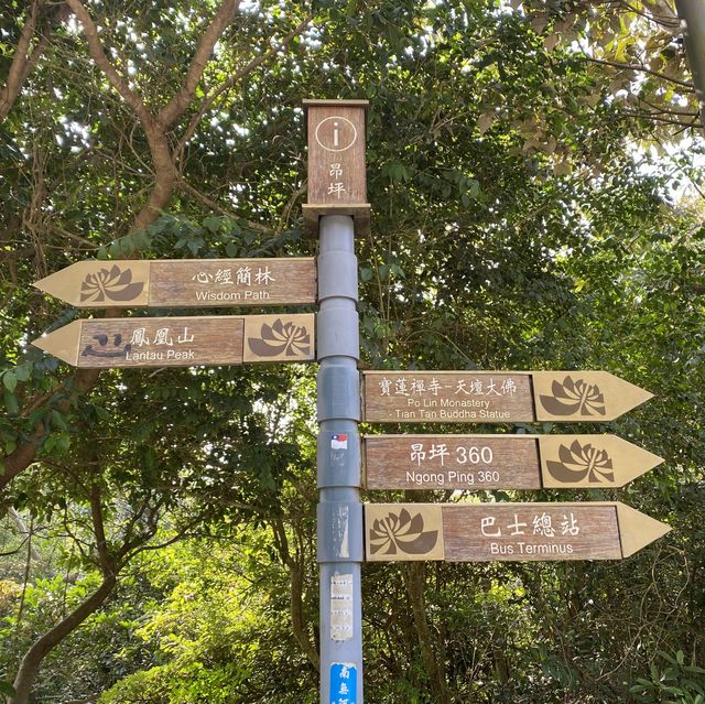 行山 「一樹洞 」沿途驚險
