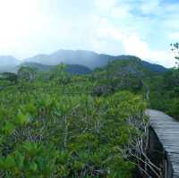 สถานีพัฒนาทรัพยากรป่าชายเลนที่ 4 เกาะช้าง
