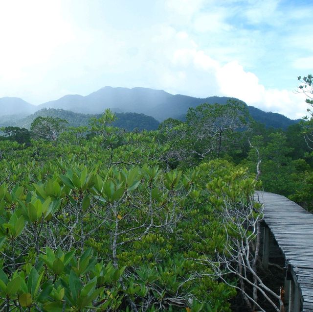 สถานีพัฒนาทรัพยากรป่าชายเลนที่ 4 เกาะช้าง