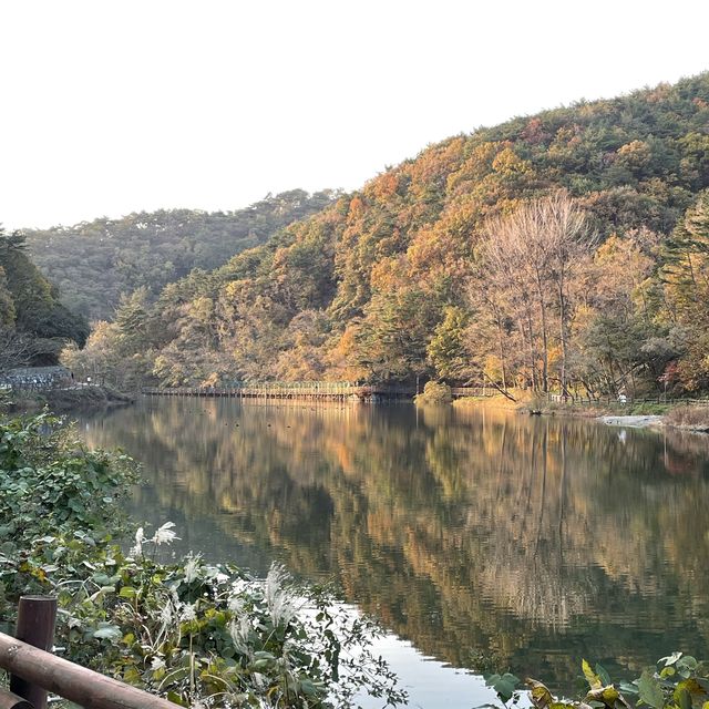 울산 북구 박상진공원