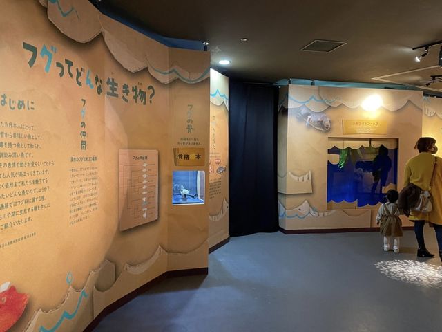 岐阜県•各務原市🐠世界最大級の淡水魚水族館【アクアトト岐阜】