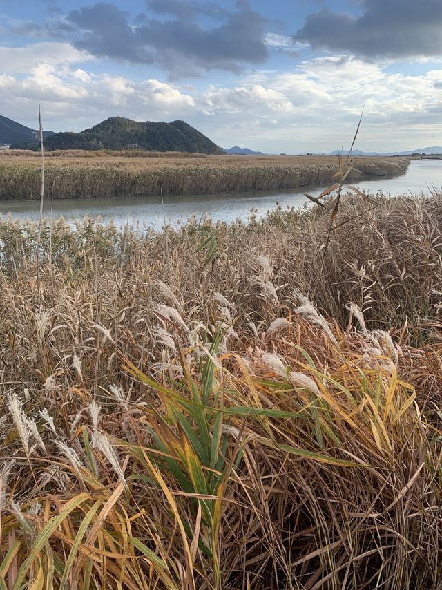 자연 향 가득 🌾 느낄 수 있었던 순천만습지