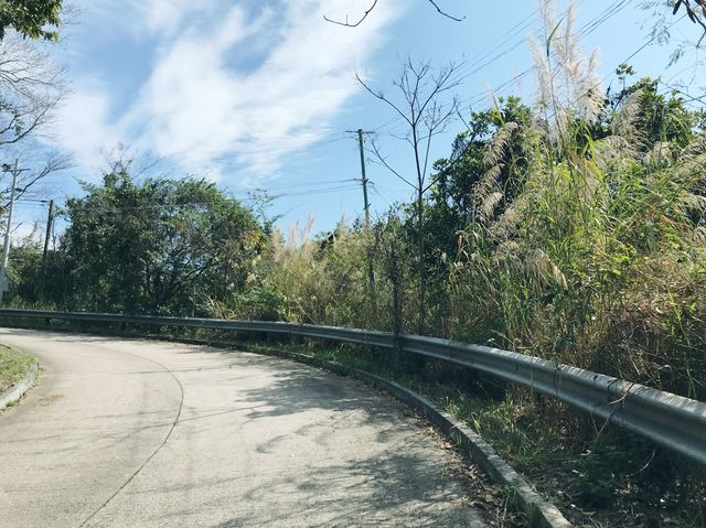 大欖郊野公園