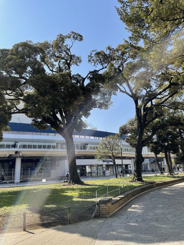 【横浜公園】