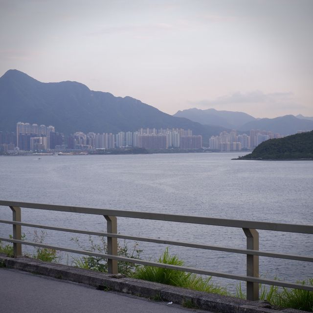 單車遊大尾督