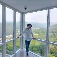 하이원리조트 내 튤립 꽃구경하기 