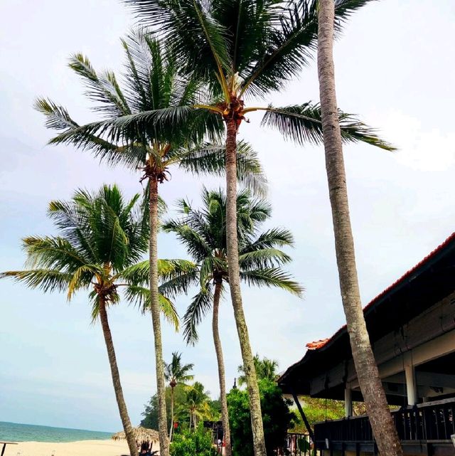 5 Star Hotel Hyatt Regency Kuantan Resort