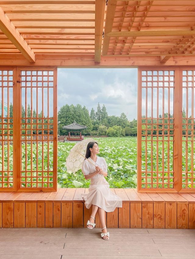 연꽃과 함께 한옥감성에 취하는 연화정도서관