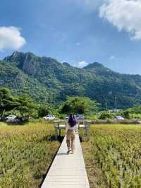 หุบป่าตาด bike camp คาเฟ่สุดชิคสายธรรมชาติ