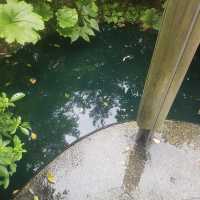 Eden Project