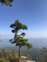 อุทยานแห่งชาติภูกระดึง ธรรมชาติสร้างสรรค์