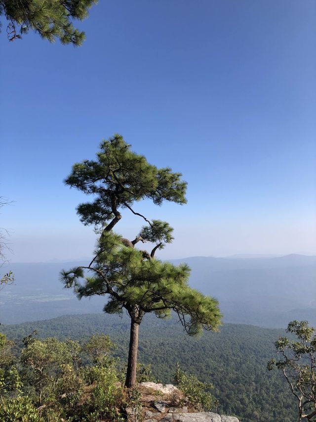 อุทยานแห่งชาติภูกระดึง ธรรมชาติสร้างสรรค์ อุทยานแห่งชาติภูกระดึง ธรรมชาติสร้างสรรค์