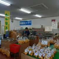 安い！うまい！いつでも買える！みかん専門店