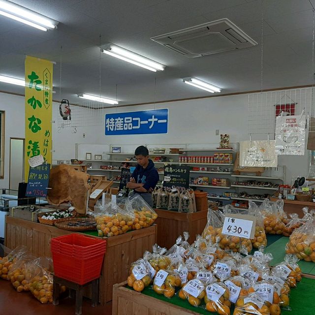 安い！うまい！いつでも買える！みかん専門店