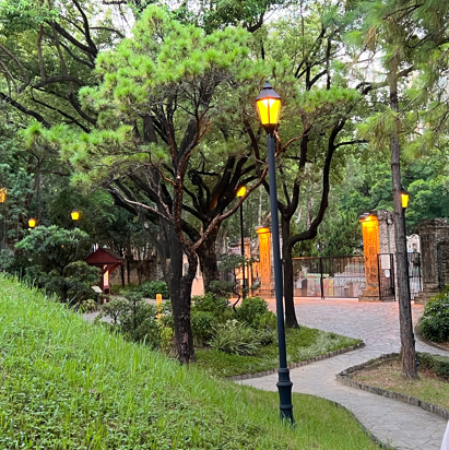 Walled City 🏰 or Secret Garden? 🌲🌳🌸