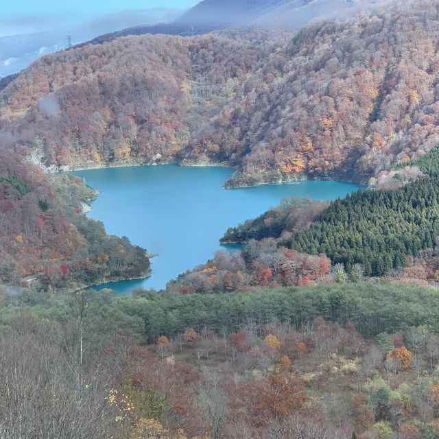苗場はもう晩秋🍁日本最長ゴンドラ
