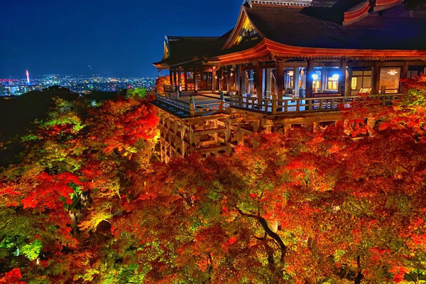 京都東山清水寺紅葉図(紅葉秋雨)】浅野鶴汀 1003 秋景 共箱