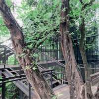 Cozy Nature Cafe near BTS Phrakanong in Bangkok 🌿