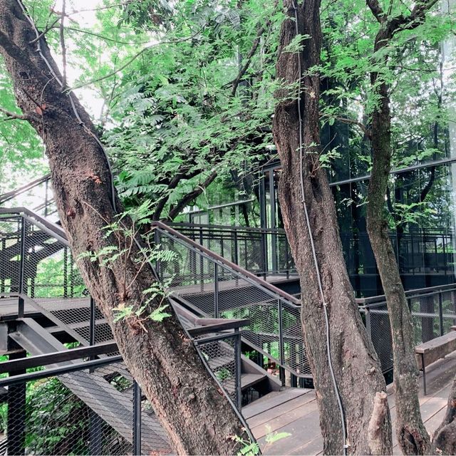 Cozy Nature Cafe near BTS Phrakanong in Bangkok 🌿