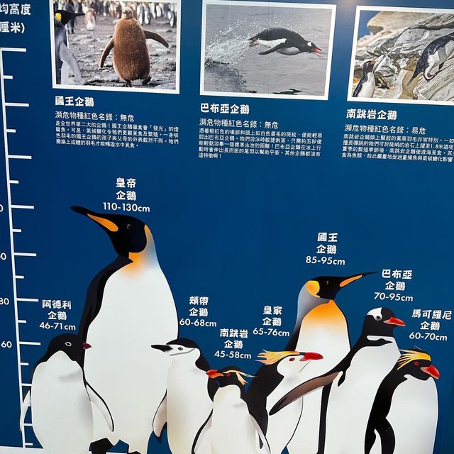 荃灣環保小企鵝