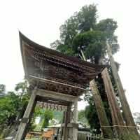【熊本】小国両神社