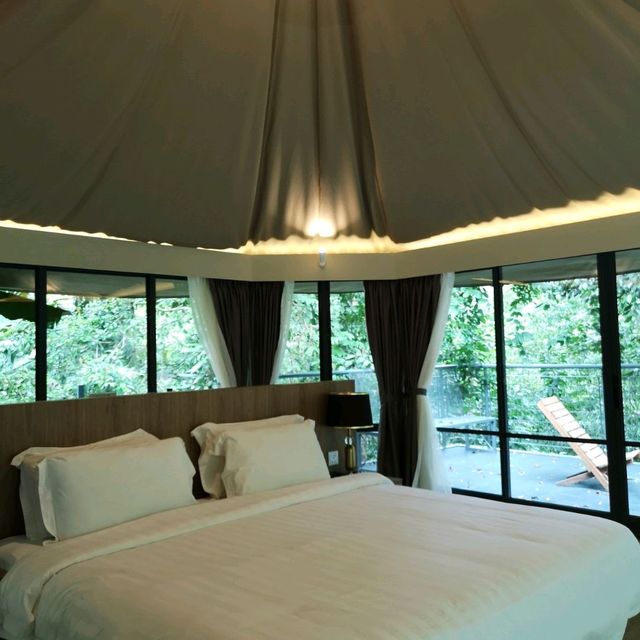 Best Glamping at PENANG 