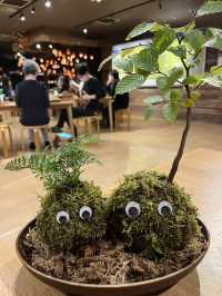 自分だけの小さな奥入瀬を持ち帰ろう🌿