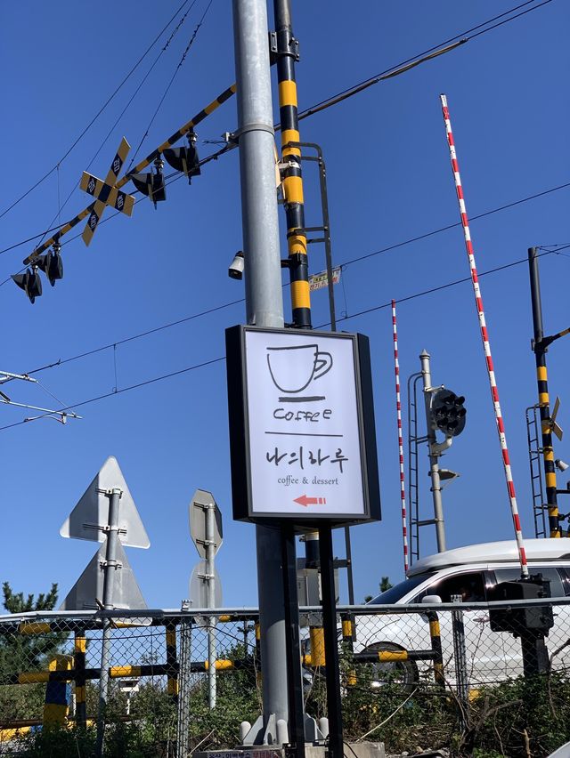 정동진 카페핫플 ‘나의하루’