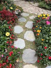 城市中的童話故事小花叢🌺🌸🌼🌻