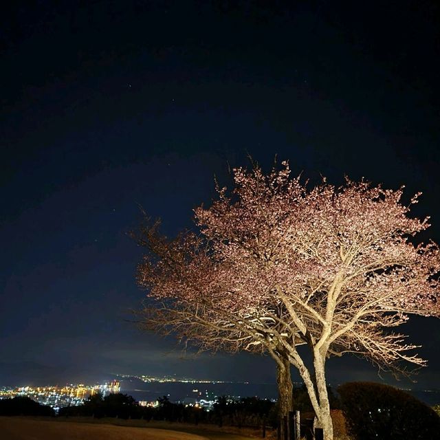 【静岡】日本平ホテル