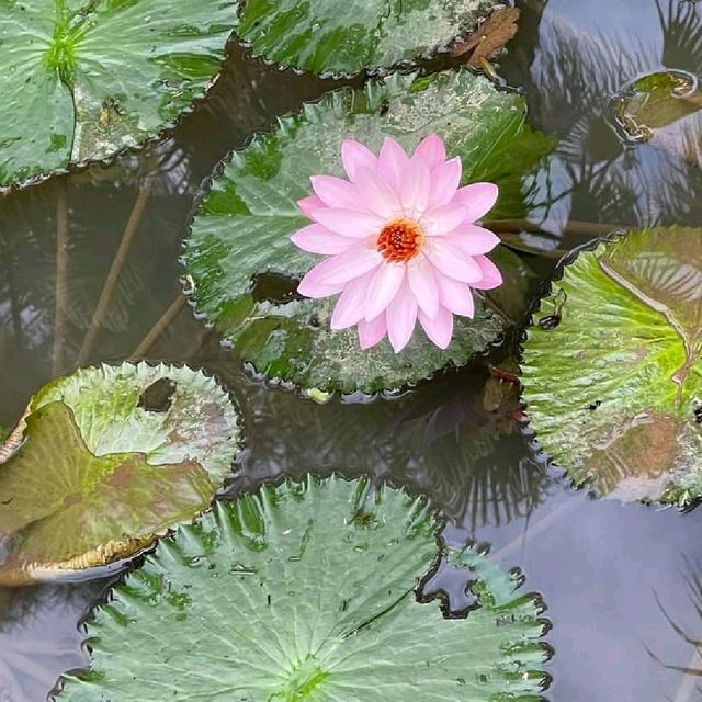 Bishan Park