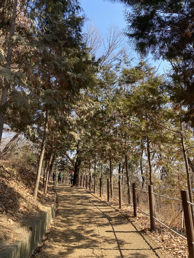겨울에 가장 예쁜 인천 산, 계양산