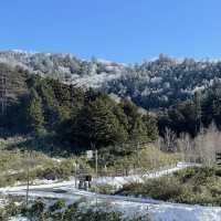 雪の嬬恋村