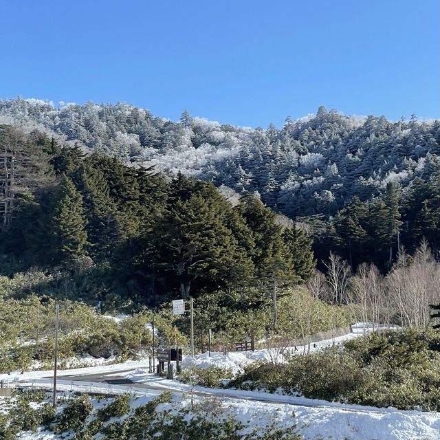 雪の嬬恋村