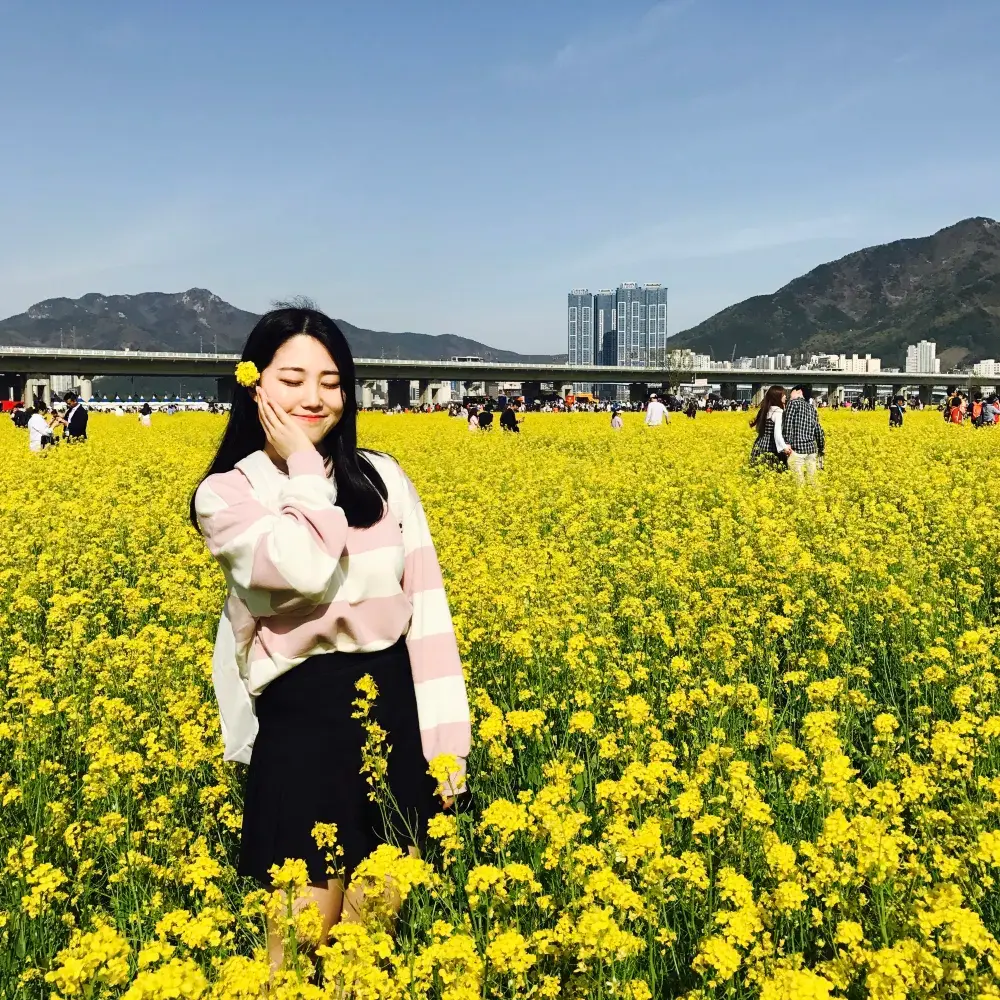 부산에서 가장 예쁜 유채꽃이 있는 대저생태공원