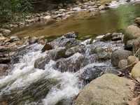 น้ำตก ในสวน