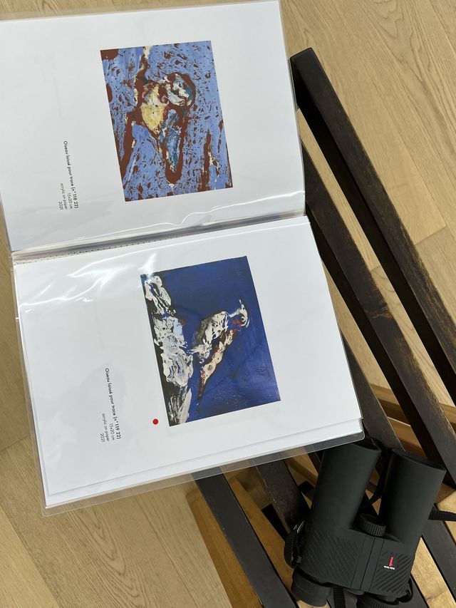 可以用望遠鏡觀看的畫展！