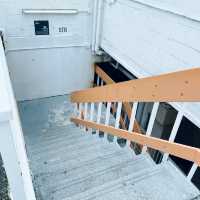 「海運觀點」維港景色+「機動恐龍展覽」