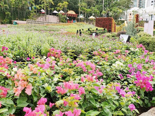 花悅滿城花卉展覽