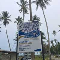 Beach of Whispering Breeze!