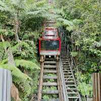 Blue Mountains - Australia