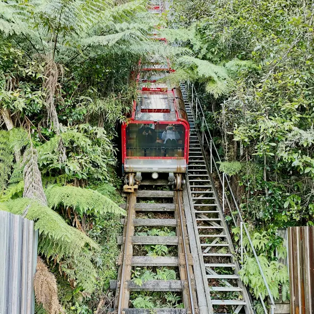 Blue Mountains - Australia