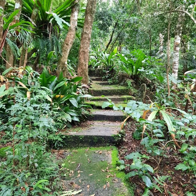 Lamington National Park Trip! 
