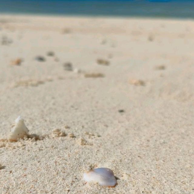 【沖縄 国頭村】エメラルドビーチ🏝️✨🏝️✨🏝️