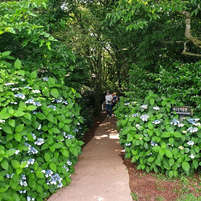 Jeju Stone Park